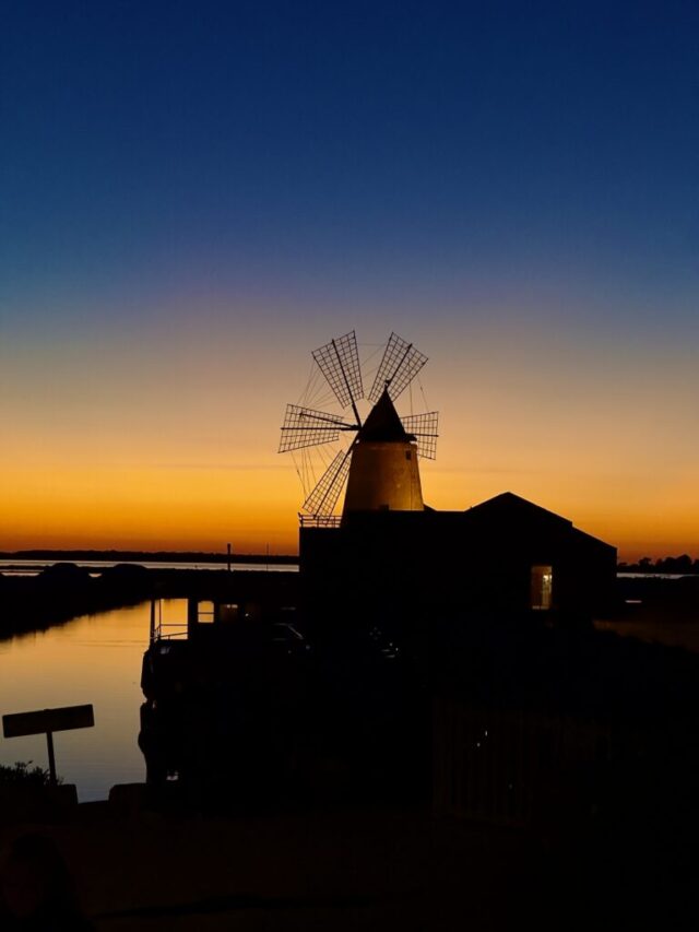 Visita guidata in Salina — esperienza a Villa Favorita, Marsala